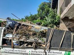 Trusted Shepherdstown, WV Junk Removal Services Experts