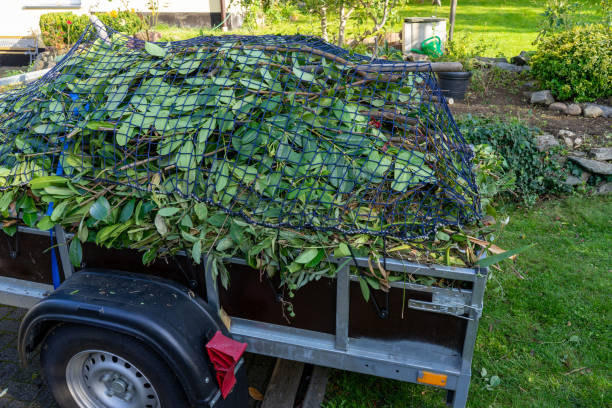 Best Carpet Removal and Disposal  in Shepherdstown, WV